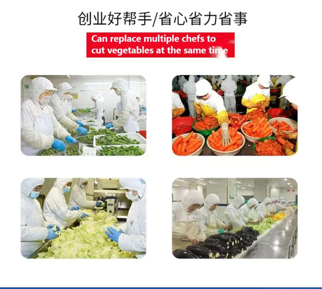 20240827093802 20240827093802